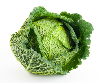 Savoy cabbage