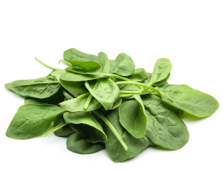Leaf spinach