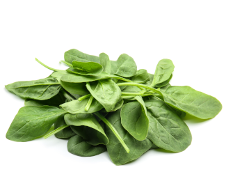 Spinaci in foglia